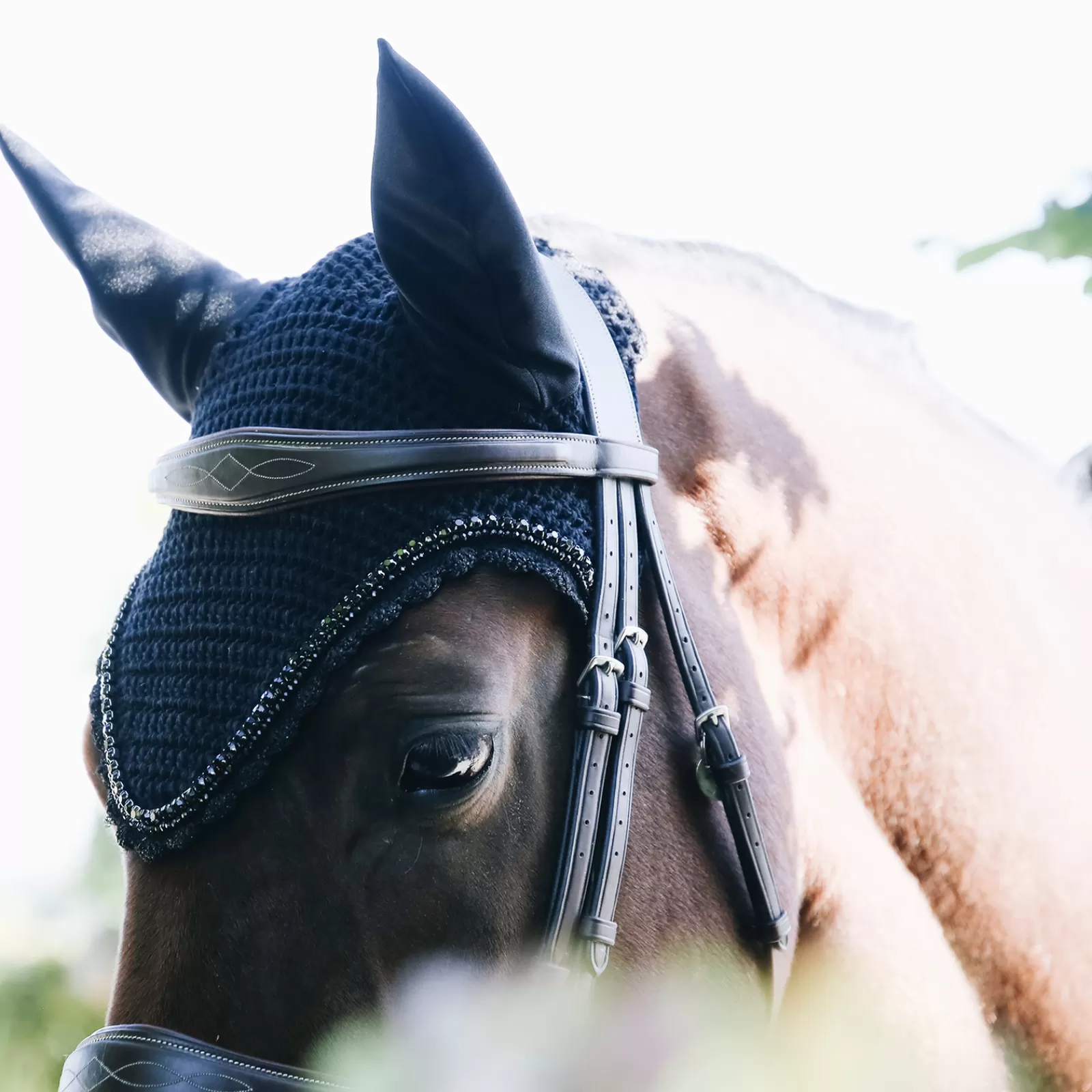 kentucky Horsewear Korvahuppu Timanteilla Ja Helmilla, Pitka Malli Black Flash Sale